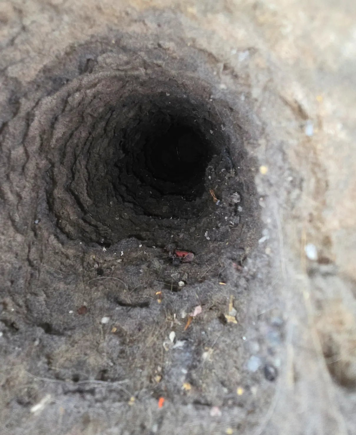 Before: Clogged dryer vent