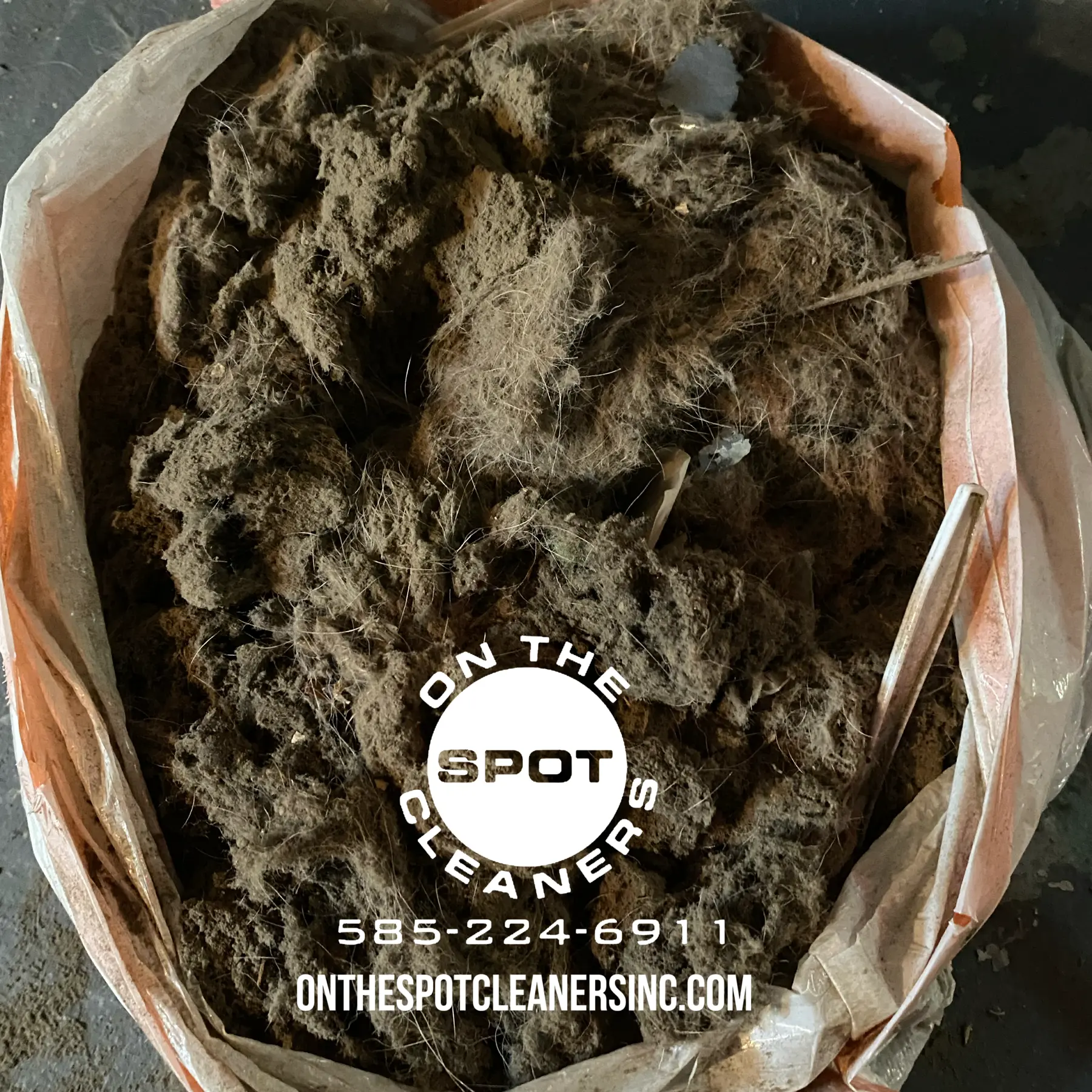 Lint buildup in dryer vent